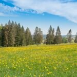 g05ae9ed12e4a7ac9767f206c8579a681dbb043146c914d1aebe3715cb60906d00bcb36d0a3d0703d30487871897f8f3b916b7a64d40921e21ec2d95c41112d13_1280