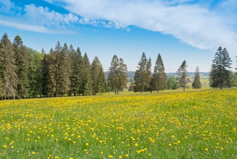 g05ae9ed12e4a7ac9767f206c8579a681dbb043146c914d1aebe3715cb60906d00bcb36d0a3d0703d30487871897f8f3b916b7a64d40921e21ec2d95c41112d13_1280