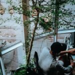 g98ee9bb39e67d119f855bc99440db9c491ac44b9d970d171b9e9963d2dc93f884e9cb9244db14b1f1ca7f3523c290e54a13d506f7c357223f4ca01b5b07cadbf_1280