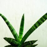 g2f41e4db4fd07bf08e0df1ca72085bfff057e2967f9dbc50c849103049db8bf0f72fbda870a54fa371d8650a83f8b611917fdd5d55377884ba7dfc9bbbd808cd_1280