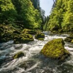 g71accb0757479ca5d73fd326c9e5073bca80139056f127b025f4fc02e06d625bf3a9a2abfd7dff835cfe437c5460ca991ad7dd60b646af234f63ec6d2d80b29e_1280