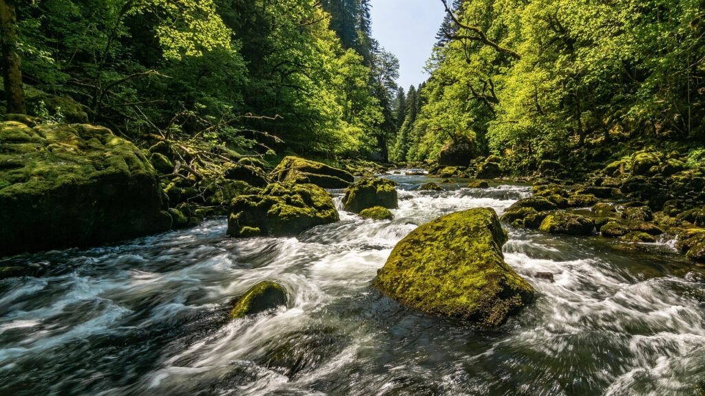 g7ad32abc43f42fc93ce36fa992056f84398e533d4768b531a67561b85f59aa642a54324ded0e127b89276d5835dbc0b6cd95e5bd347f64f4cf364dd2ae360226_1280