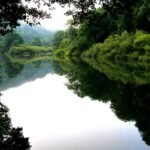 ge1e9056ce20f78a7deba83b129d5a33abde8a4bca3186c9d584657b68d01ff0787afaf463f6908757a6e92596b7e71045372fd251f9a105acfab9fb125b91011_1280