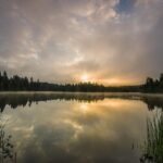 gf448f1ae0e5be90e21faa343eb21b24b2a5884c501b54a1063328f17e7ee26fe076d246aca10ff0d1b043cb15874054d9892afc01c1c7a36d4ac397101e05432_1280