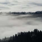 g57aadf12df6141f5e271f42e3152e5e4ee68f46a3426dadbcb44e9a150a120809140c569e42c7725f19849dd0d9737b2c53ec16dcf2cec930534e7b4c80ca295_1280