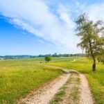 g2ef62994ecd608785b00d8199a29ab4934661e4018b3374b750fd5e1da30ebc4e93012a300d3d0bc3812a0e375f5acb495b2cd566d8f5aeb127e847521b40430_1280