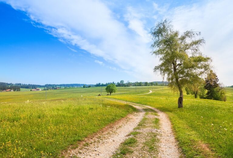 g0fa56e06aa27c2280a8a75db1502850464e1d37cdc51d96108561a47c9154568e917b410602017275c4c39e575b1e2a870755b89a4f968fa608d0f143a214ecb_1280