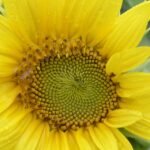 g91e6fbda2e25572f29d7a9e07bf3febb914555985f83c9f2a900781ac455d096bc4579e225d032c9a0c27ffe213e5a38b5be30918d7eaa072e6956f041fb9904_1280