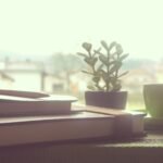 gdc5c7ebf0a35a0c7f03e7a171fe8b4d73edbdcfcd5f83001bda5c8feb21ead088653a4a287b6fb4c4c973c1eb283351265d91dfed61f02cba2eaecd02fd14c3f_1280