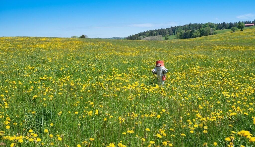 g298d5b7c4e4e427c32eebf23ed843c708cef07d22b9f8c8d3198be3c55f621156d001cce5c1a37a7537af8abbc896b4bd24a75ec6868f401428f8eb08179040d_1280