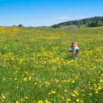 g298d5b7c4e4e427c32eebf23ed843c708cef07d22b9f8c8d3198be3c55f621156d001cce5c1a37a7537af8abbc896b4bd24a75ec6868f401428f8eb08179040d_1280