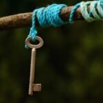 g98f9c050d0d0c2957226fe359f9e1b72ba6d3db9f4eb568e8bd6f723adb1d4e9872d9ee0032801dfcdf5c65c54dfa7f8ee854a4ca18a117903d8076eeee862fe_1280